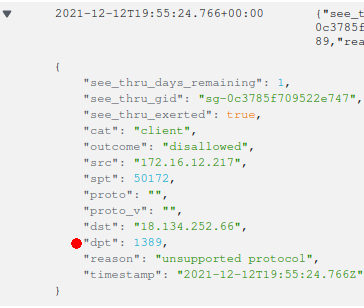 CloudWatch DiscrimiNAT flow log